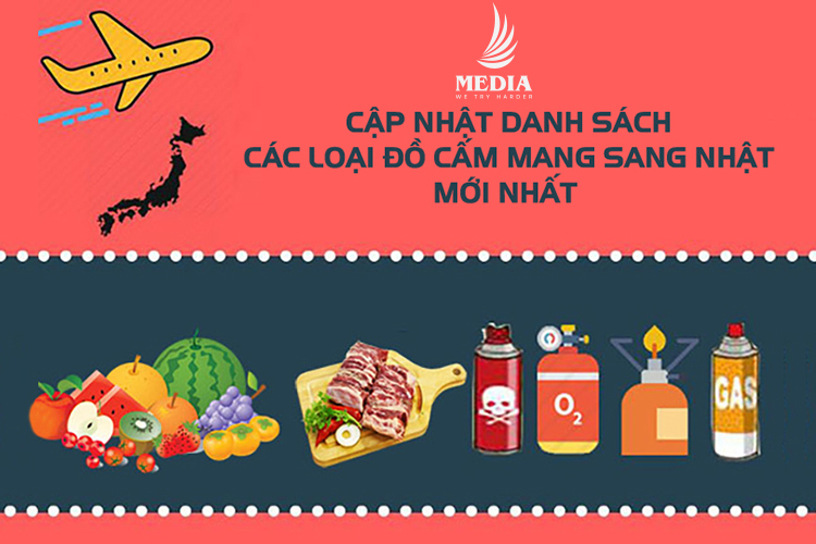 Những đồ cấm mang sang Nhật cập nhật năm 2024